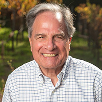 Thomas Brandi