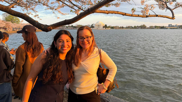 Read the story: Why Nurses' Stories Matter