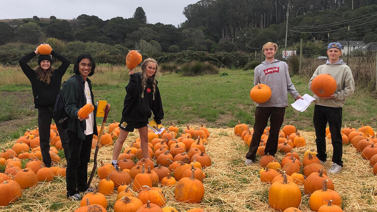 Students visit the pumpkin patch at Star Route Farms.