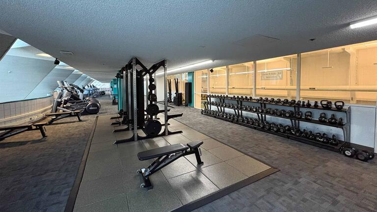 Upper Cardio Alley